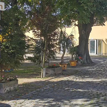 Hochheimer Schloesschen Πανσιόν Ερφούρτη